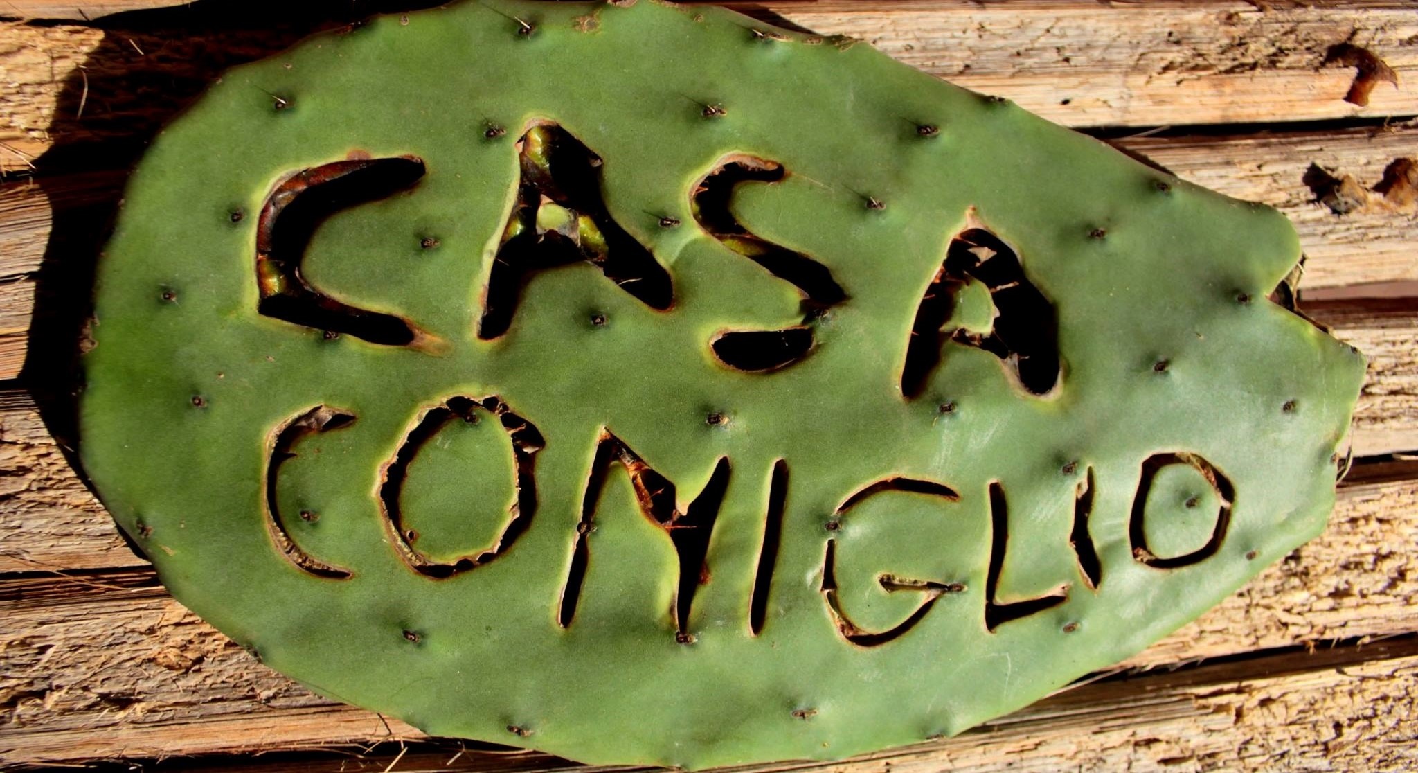 Cactus leaf with name written on it